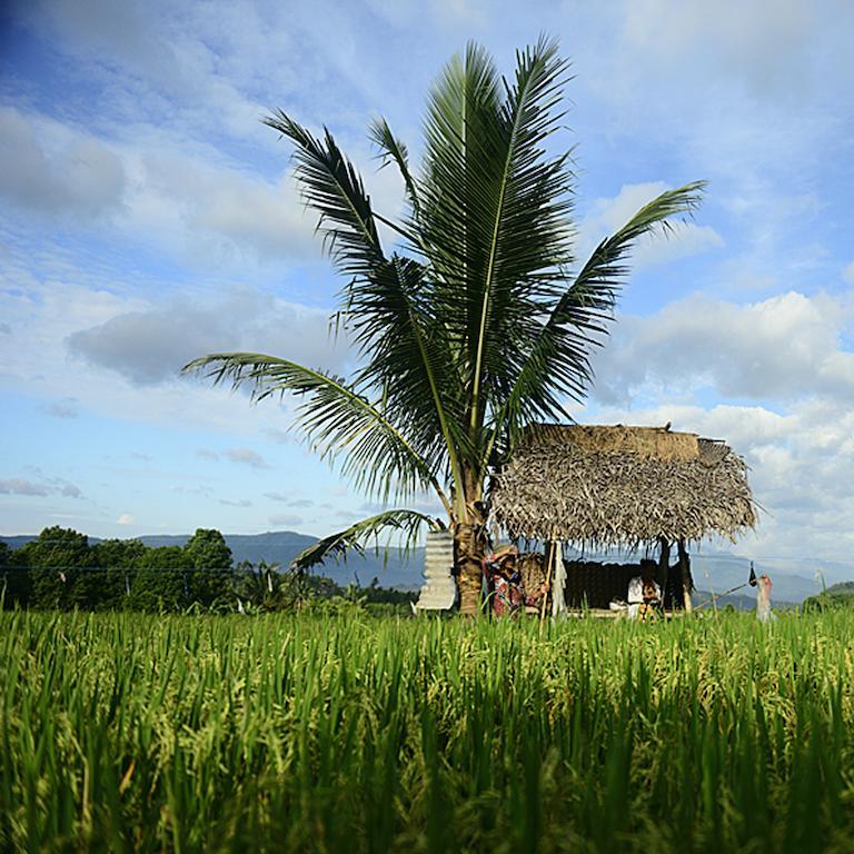 Sanak Retreat Bali Hotel Munduk  Exterior photo